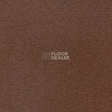 Ковролин Radici Nexus Visone 8204 фото 1 | FLOORDEALER